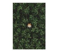 Jigsaw for Adults 38x26cm/1000pcs Where Is Ginger Puzzle for Adults Brain Teaser Game Home Decoration Unique Birthday And Xmas Gifts 38x26cm/1000pcs