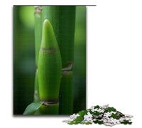 Jigsaw for Adults Bamboo Shoots after Rain 1000 Pieces Puzzle Wooden Puzzles for Adults & Kids Age 12 Years Up 1000 PCS(75x50cm)