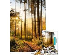 Jigsaw for Teenagers 1000 Pieces Golden Forest Path Jigsaw for Teenagers Pattern Assembly Every Piece Is Unique Unique Birthday And Gifts (Size 38x52cm)