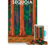 Jigsaw for Teenagers 1000 Pieces Sequoia National Park Flawless Edge Fun Mind Game Gift Cozy Fun Time Christmas Wall Art(38x26cm)