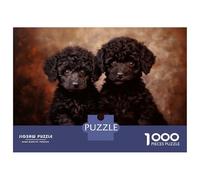 Jigsaw for Teenagers 1000 Pieces Two Black Poodle Puppies Jigsaw for Adults Relaxing Games Birthday Present Christmas Birthday Gifts 52x38cm/1000pcs