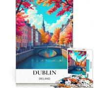 Jigsaw for Teenagers1000 Pieces Breathtaking Dublin Hidden But Fun And Humorous Practical Game Great Gifts And Toys 50x75cm