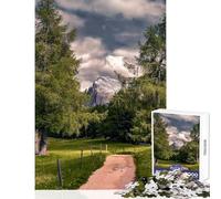 Jigsaw for Teenagers1000 Pieces Mountain Path Through Trees Educational Game Difficult Challenge Educational Toy Parent-child Interaction (50x75cm)