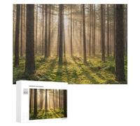 Jigsaw for Teenagerss 300 PCS Sunlit Forest Scene Puzzles for Adults Relax Games Analysis And Logic Fun at Home Activities, 300 PCS