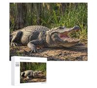 Jigsaw for Teenagerss 500 PCS Alligator with Open Mouth Adult Jigsaw Puzzle Relaxing Games Home Decoration Unique Birthday And Xmas Gifts 500 PCS