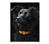 Jigsaw for Teenagerss 52x38cm/1000pcs Black & Gold Border Collie Jigsaw for Adults Hands-on Game Difficult Challenge Challenging Game Gifts 52x38cm/1000pcs