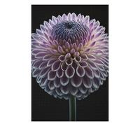 Jigsaw for Teenagerss 75x50cm/1000pcs Blooming Dahlia Jigsaw for Adults Hands-on Game Difficult Challenge Challenging Game Gifts 75x50cm/1000pcs