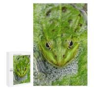 Jigsaw for Teenagerss1000 PCS Green Frog in Pond Puzzle for Adults Fun Games Difficult Challenge Deal As Gifts for The Whole Family 1000 PCS