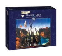 Jigsaw Puzzle 1000-3000 pcs Bluebird Various Styles Available Art Hobby Gift