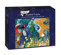 Jigsaw Puzzle 1000-3000 pcs Bluebird Various Styles Available Art Hobby Gift