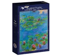Jigsaw Puzzle 1000-3000 pcs Bluebird Various Styles Available Art Hobby Gift