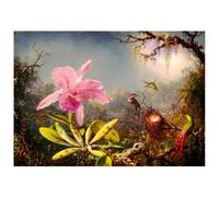 Jigsaw Puzzle 1000-3000 pcs Bluebird Various Styles Available Art Hobby Gift