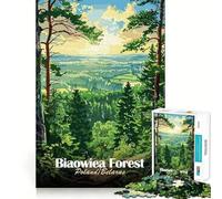 Jigsaw Puzzle 1000 Bialowieza Forest Poland∕Belarus Neat Edge Decor Creative Skill Toy Easy Time Fun Christmas Fun Gift (50x75cm)