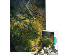 Jigsaw Puzzle 1000 Forest Snake Road Jigsaw Puzzles for Adults For Family Fun Difficult And Challenge Learning Educational Toys (Size 50x75cm)