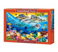 Puzzle 1000 pièces : Dauphins sous les tropiques
