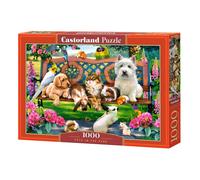 Pets in the Park