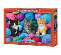 Puzzle 1000 pièces : Chatons dans le magasin de laine