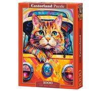 Cat Bus Travel