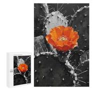 Jigsaw Puzzle 1000 PCS for Adults Orange Flower on Black And White Cactus Adult Jigsaw Puzzle Relaxing Games Precision Cutting Deal As Gifts for The Whole Family 1000 PCS