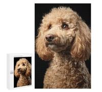Jigsaw Puzzle 1000 PCS for Teenagers Fluffy Poodle Dog Breed Jigsaws for Adults Puzzle Improve Memory Educational Challenge Unique Birthday And Gifts 1000 PCS