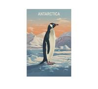 Jigsaw Puzzle 1000 Piece，Antarctica，Paper Jigsaw Puzzle for Kids Adult, Puzzle Game Toys Gift for Wall Decoration（50x70cm）-GJ51