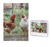 Jigsaw Puzzle 1000 Piece BackYard Chickens Puzzles for Adults Custom Puzzles from Photos Personalized Picture Wooden Puzzle Gifts for Family Wedding Birthdays Anniversaries