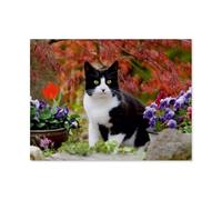 Jigsaw Puzzle 1000 Piece,Black and white cat in a blooming garden,Classic Puzzle Adult Puzzle DIY Kit Paper Toy Unique Gift Modern Home Decor(50x70cm)-AT82