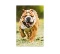 Jigsaw Puzzle 1000 Piece，Bulldog on a meadow，Crafts Classic Puzzle 3D Puzzle Diy Kit Paper Toy Unique Gift Home Decor（38x26cm）-AS29