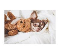 Jigsaw Puzzle 1000 Piece，Chihuahua puppy sleeping with a teddy bear on a white bed，Classic Puzzle Adult Puzzle DIY Kit Paper Toy Unique Gift Modern Home Decor（50x70cm）-T59