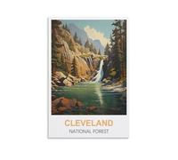 Jigsaw Puzzle 1000 Piece，Cleveland National Forest Classic puzzle 3D puzzle diy kit paper toys unique gift residential culture 38x26cm
