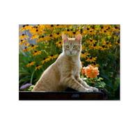 Jigsaw Puzzle 1000 Piece，Curious red tabby cat in a blooming garden，Classic Puzzle DIY Kit wooden Toy Unique Gift Home Decor（75x50cm）-AS49