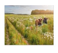 Jigsaw Puzzle 1000 Piece，Flower Meadow with Two Beautiful Cows and a Path，Adult Puzzle DIY Kit Paper Puzzle Modern Home Decor Unique Gift（38x26cm）-X87