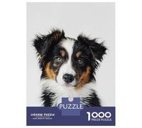 Jigsaw Puzzle 1000 Piece for Adults Baby Australian Shepherd Jigsaw Toy Wall Decor Analysis And Logic Deal As Gifts for The Whole Family 52x38cm/1000pcs
