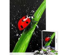 Jigsaw Puzzle 1000 Piece for Adults Ladybug on A Blade of Grass Impossible Game Learning Educational DIY Toys Artists' Collection, Fine Arts (26X38cm)