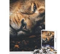 Jigsaw Puzzle 1000 Piece for Adults Lion Tired Sleeping Home Decoration Toys Art Work Gift Family Games with Matching Poster And Trivia Sheet size 38x52cm