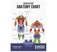 Jigsaw Puzzle 1000 Piece for Adults Musculature Anatomy Chart Jigsaw Puzzle Fun Games A Work of Art Deal As Gifts for The Whole Family 52x38cm/1000pcs