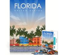 Jigsaw Puzzle 1000 Piece for Teenagers Florida State Travel Art Tight Cut Fun Logic Game Play Quiet Play Game Xmas Decor Gift (38x26cm)