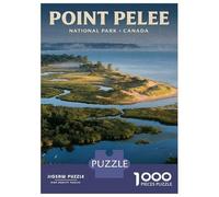 Jigsaw Puzzle 1000 Piece for Teenagers Point Pelee National Park Canada Puzzles for Adults Brain Teaser Game Analysis And Logic Help The Brain Exercise 38x26cm/1000pcs