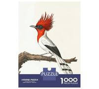 Jigsaw Puzzle 1000 Piece for Teenagers Red-Crested Bird Illustration Teenager Puzzles Brain Teaser Game Pattern Assembly Unique Birthday And Gifts 70x50cm/1000pcs