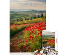 Jigsaw Puzzle 1000 Piece for Teenagers Red Poppies Tuscany Brain Teaser Game Difficult Challenge Home Decoration Toys Suitable for Desktop Decoration (38x52cm)