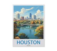 Jigsaw Puzzle 1000 Piece，Houston Texas，Adult Puzzle DIY Kit paper Puzzle Modern Home Decor Unique Gift（50x70cm）-EH67