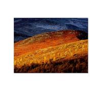 Jigsaw Puzzle 1000 Piece，Indian Summer in Gasbu, Norway，Wooden Jigsaw Puzzle for Kids Adult, Puzzle Game Toys Gift for Wall Decoration（75x50cm）-AQ15