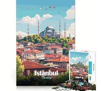 Jigsaw Puzzle 1000 Piece Istanbul, Turkey Cityscape Illustration Fine Joint Fun Problem Solving Toy Quiet Game Time Xmas Decor Gift (38x52cm)