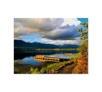 Jigsaw Puzzle 1000 Piece,Lake Quinault, Olympic National Park, USA,Paper Jigsaw Puzzle for Kids Adult, Puzzle Game Toys Gift for Wall Decoration(38x26cm)-AO55