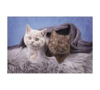 Jigsaw Puzzle 1000 Piece，Little blanket climbers，Adult Puzzle DIY Kit Wooden Puzzle Modern Home Decor Unique Gift（75x50cm）-AD96