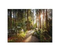 Jigsaw Puzzle 1000 Piece，Magical landscape and path through the forest in the morning sun，Paper Jigsaw Puzzle for Kids Adult, Puzzle Game Toys Gift for Wall Decoration（38x26cm）-I72
