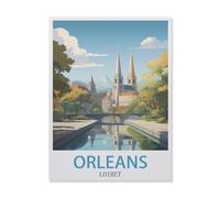 Jigsaw Puzzle 1000 Piece,Orléans Loiret,Classic Puzzle Adult Puzzle DIY Kit Paper Toy Unique Gift Modern Home Decor(50x70cm)-GM58