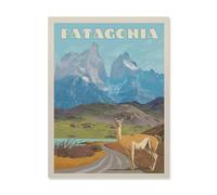 Jigsaw Puzzle 1000 Piece，Patagonia，Classic Puzzle DIY Kit Paper Toy Unique Gift Home Decor（50x70cm）-HO98