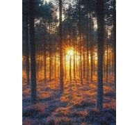 Jigsaw Puzzle 1000 Piece, Sunset Forest Puzzles for Adults 1000, Jigsaw Puzzle Games Classic Educational, Wooden Puzzles, The Impossible Challenge, for Home Wall Decoration Gift BXHZW1-776