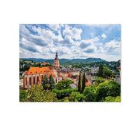 Jigsaw Puzzle 1000 Piece，View over Baden-Baden in the Black Forest, Germany，Classic Puzzle Adult Puzzle DIY Kit wooden Toy Unique Gift Modern Home Decor（75x50cm）-P99